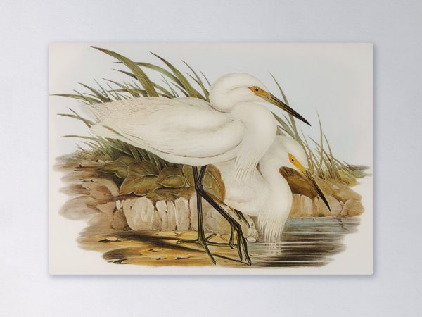 Wandpaneel-rechthoek-White-Heron-couple-2048px.jpg